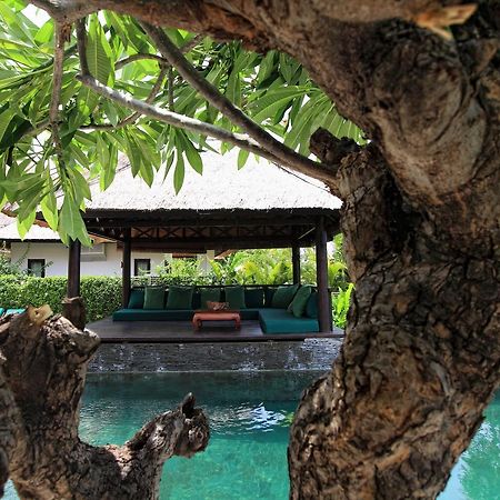 Villa Baruna Banjar (Bali) Exterior foto